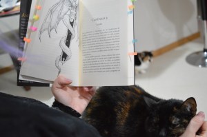 As gatas só cobiçam colo mesmo.