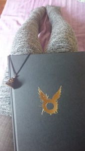 Passei muitas horas do meu domingo na cama com esse livro e o chapéu seletor para escrever essa resenha. Apreciem a capa.